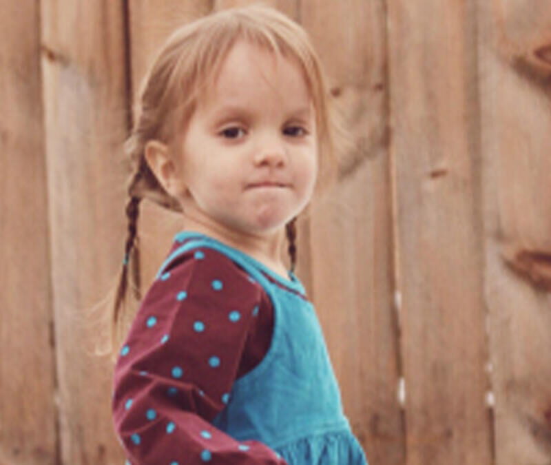 A little girl in a blue dress standing in front of a fence.