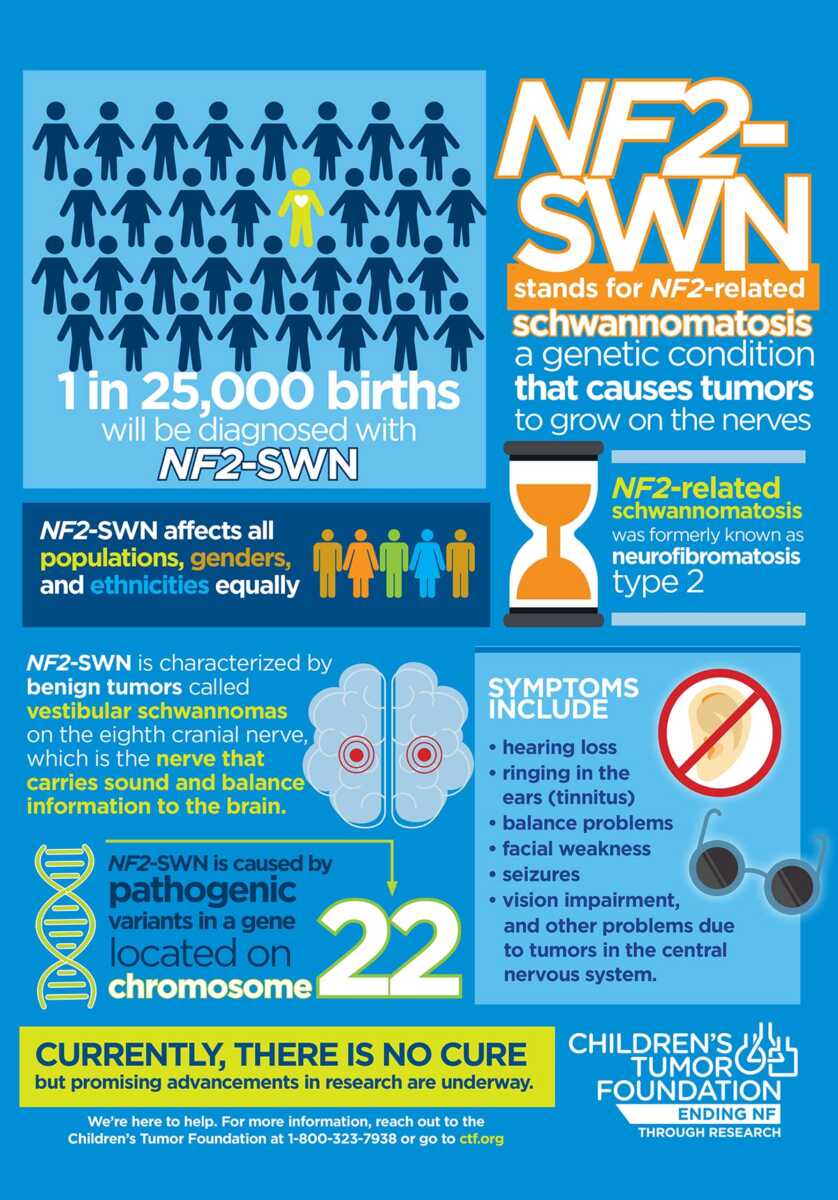 Nf2 swin infographic.