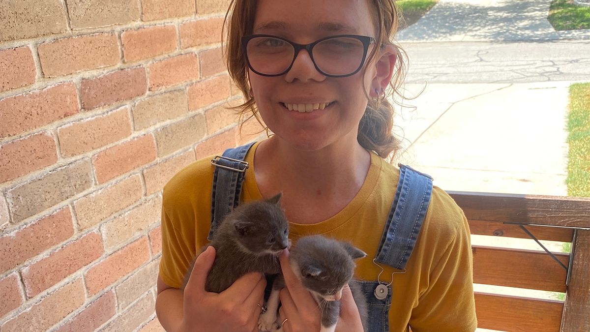 A person wearing glasses and a yellow shirt holds two small gray kittens in front of a brick wall.